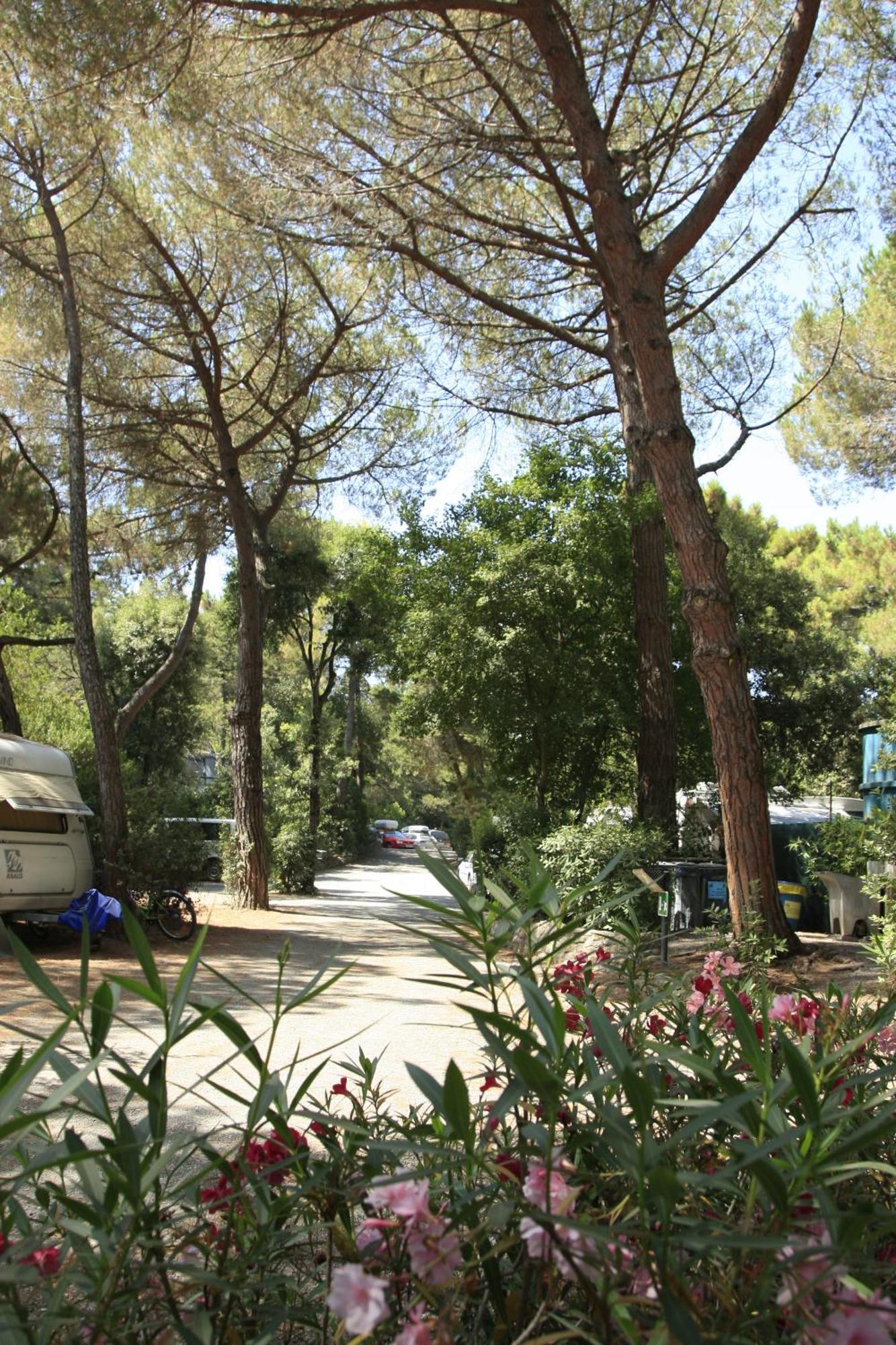 Camping Casa Di Caccia Марина-ди-Биббона Экстерьер фото