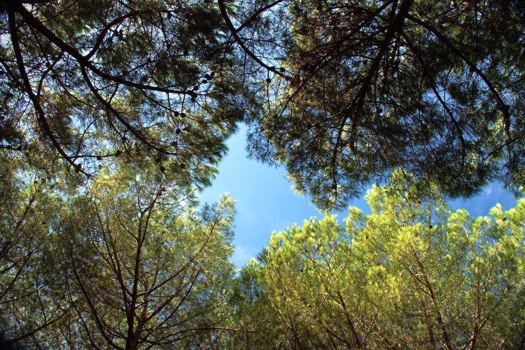 Camping Casa Di Caccia Марина-ди-Биббона Экстерьер фото